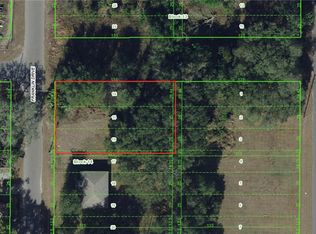 21032 Franklin Dr, Dade City, FL 33523
