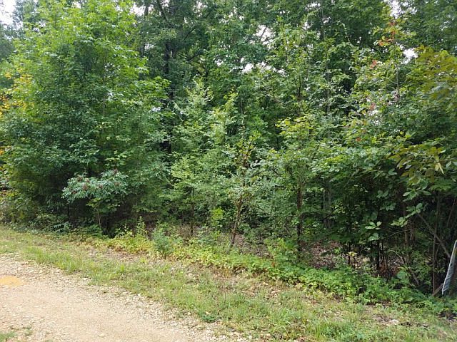 2nd image of 121 Jordans Ridge Rd