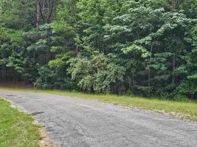 0 Busby Church Rd, Nauvoo, AL, 35578