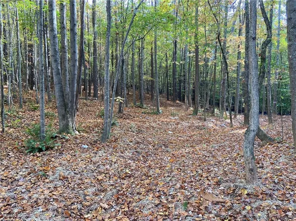 0 Lone Bear Path #15, Dallas, GA 30132