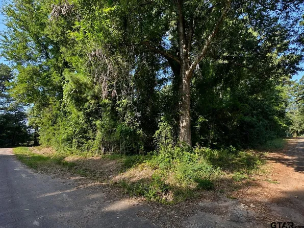 County Road 2177, Quitman, TX 75783