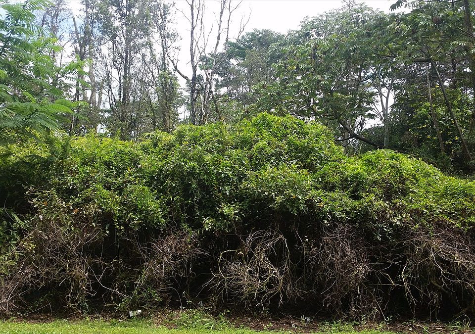 2nd image of Sandalwood Ct Lot 3