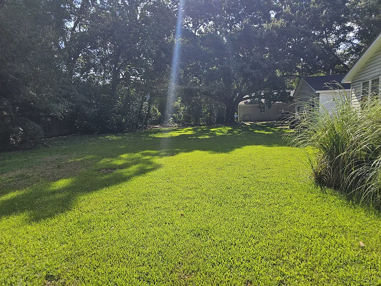 backyard shared with other units