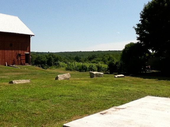 room to roam on the 30 acre farm vineyard