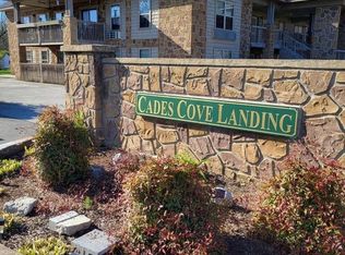 7239 E Lamar Alexander Pkwy #202, Townsend, TN 37882