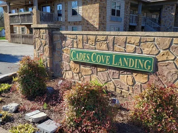 7239 E Lamar Alexander Pkwy #202, Townsend, TN 37882