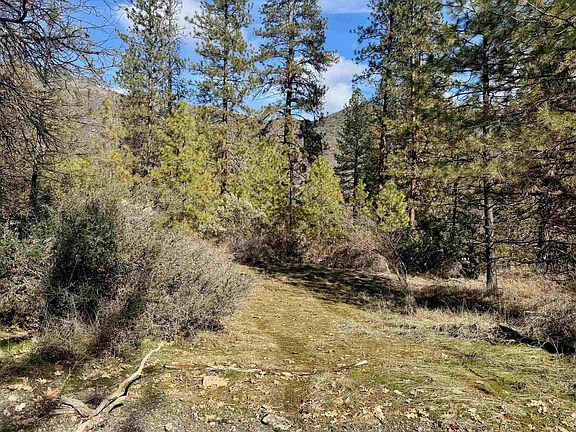 2nd image of 7 Miles Out Klamath River Rd