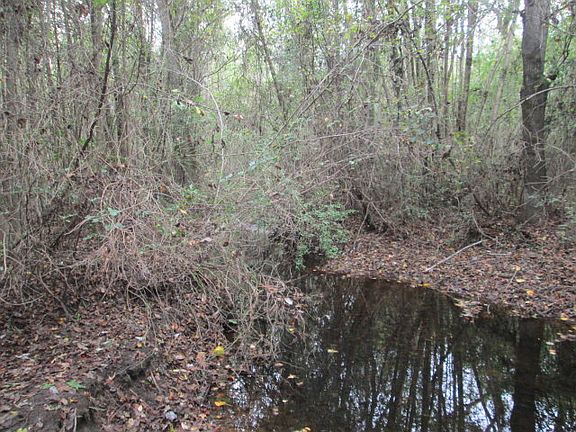 2nd image of 8485 Lee Rd 0166