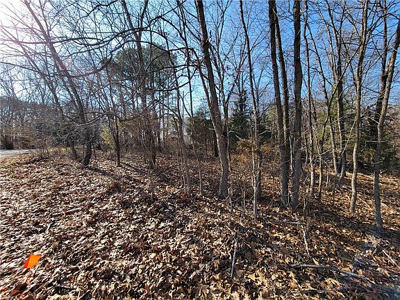 2nd image of Angus Lane