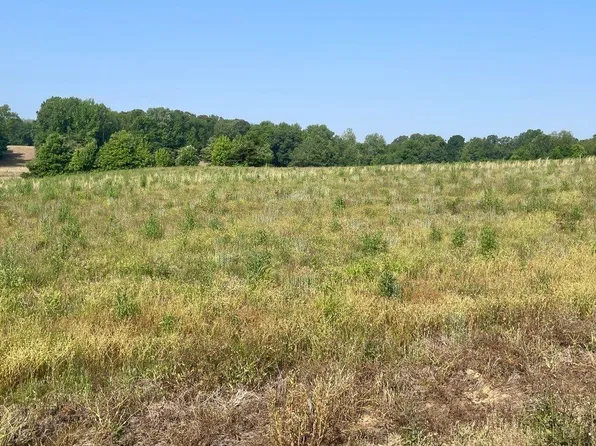 41 Crad Baskin Dr, Burlison, TN 38015