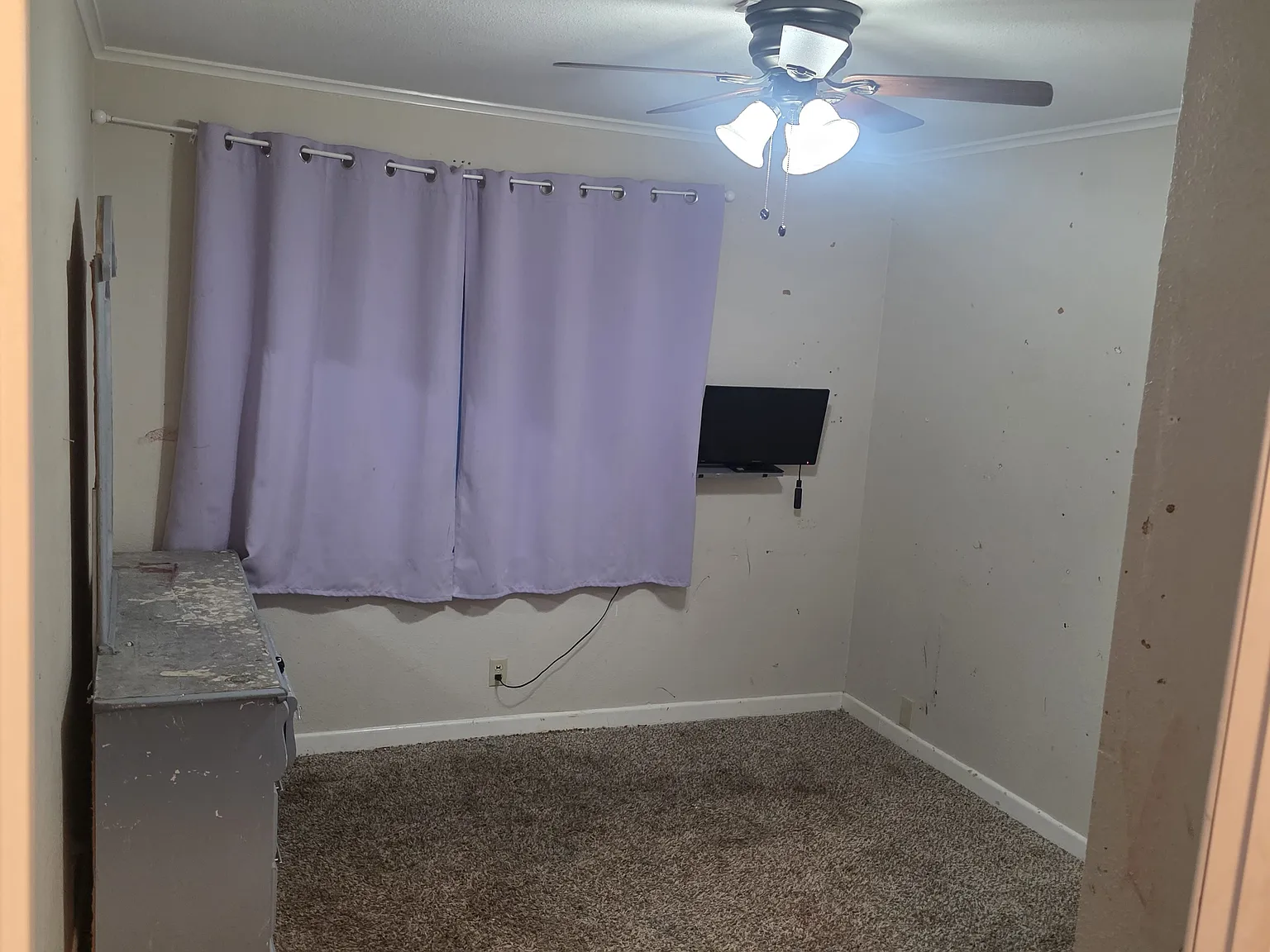 1 bed, $550 — Photo 2