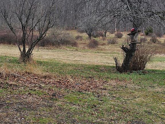 5th image of 467 Rear Broad St