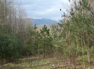 Tbd Sink Valley Rd, Butler, TN 37640