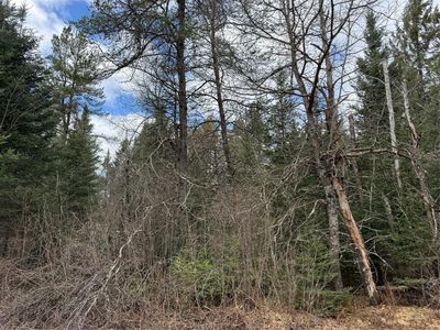 Lot 30 Maple Court, Cable, WI, 54821