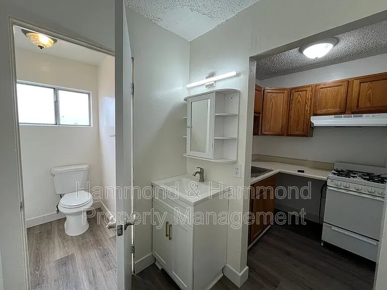 911 Ventura Ave #3 — Photo 7