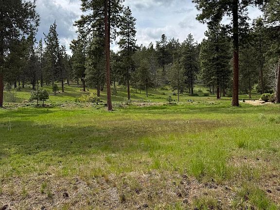 4th image of 1075 Timber Ridge Loop