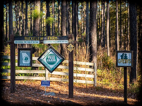 8th image of this home