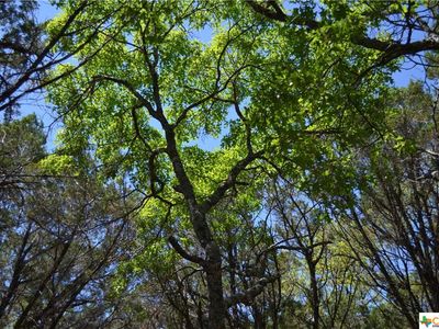 270 Rambling Oaks Dr, Wimberley, TX, 78676