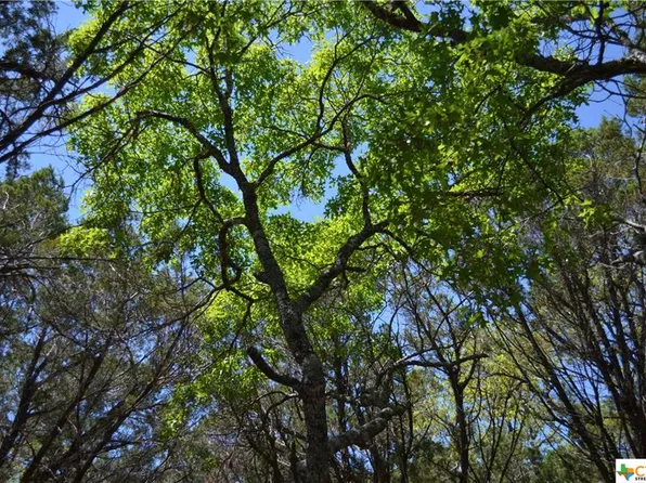 270 Rambling Oaks Dr, Wimberley, TX 78676