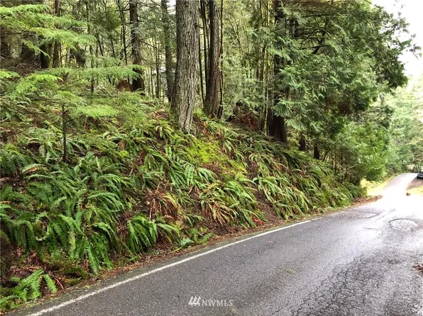 14 Deer Run Ln, Bellingham, WA 98229