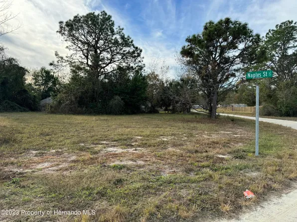 16056 Naples St, Brooksville, FL 34604