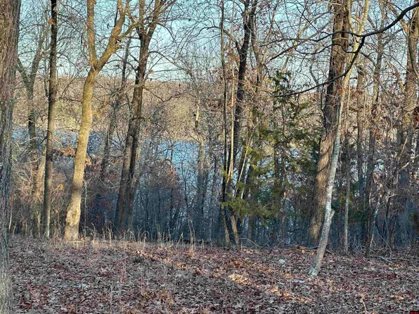 001-02082-000 Belle Cove Rd, Mountain Home, AR 72653