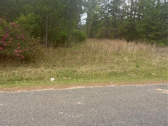 3rd image of 0 Ian Johnson Rd