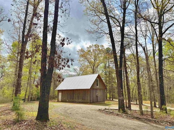540 Meltonsville Rd, Guntersville, AL 35976