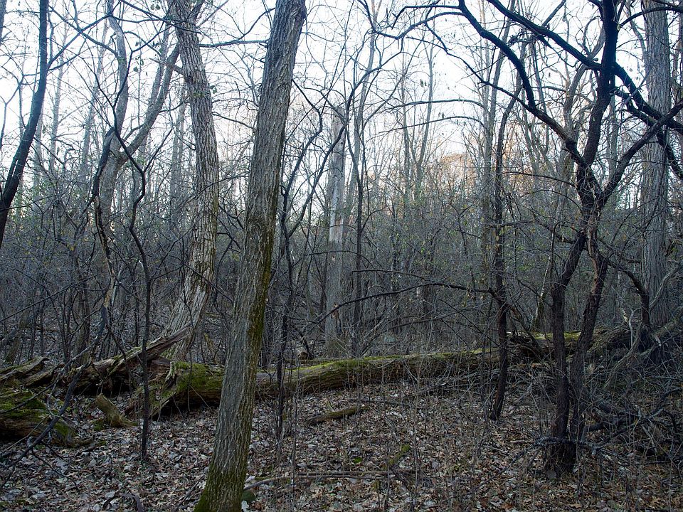 601 6th St, Marine On Saint Croix, MN 55047 Zillow