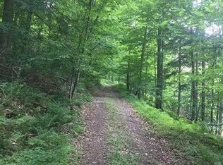 LOT Bodoit Rd, Hancock, NY 13783
