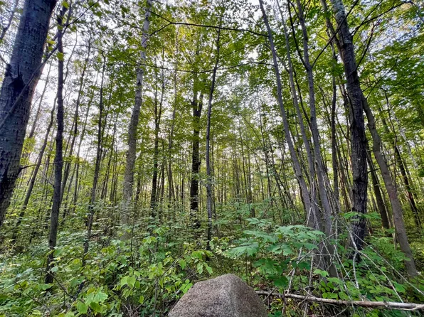 On Cth E, Tomahawk, WI 54487