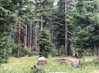 42 Cow Camp Rd, Oroville, WA 98844