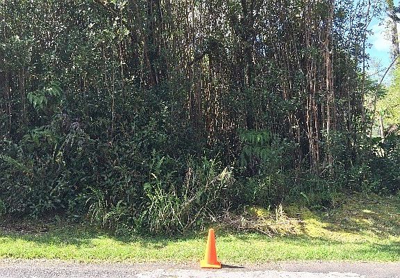 2nd image of Lehua St Lot 7068