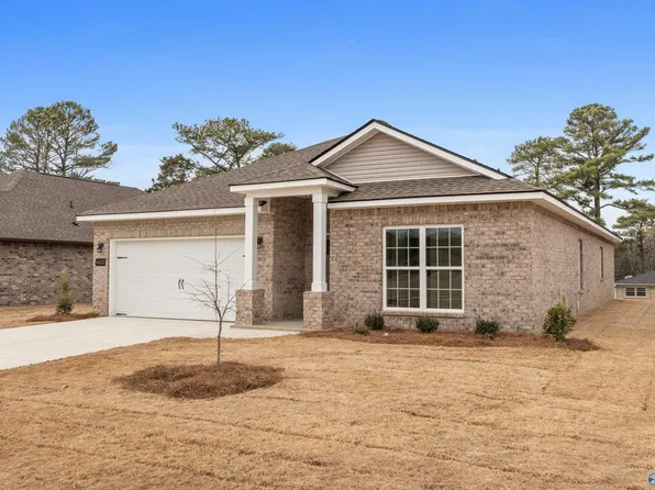 4829 Benjamins Bloom Loop, Huntsville, AL 35810