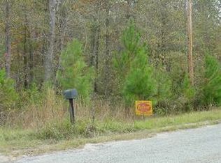 0 Colvin Kennedy Rd, Lincoln, GA --