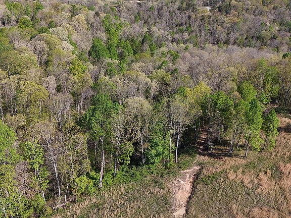 4th image of 0 Hollow Creek Ln