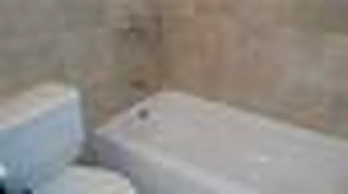 Rented by The Search D&M | media 7