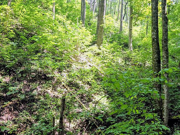 2nd image of LOT 15 Emerald Springs Loop