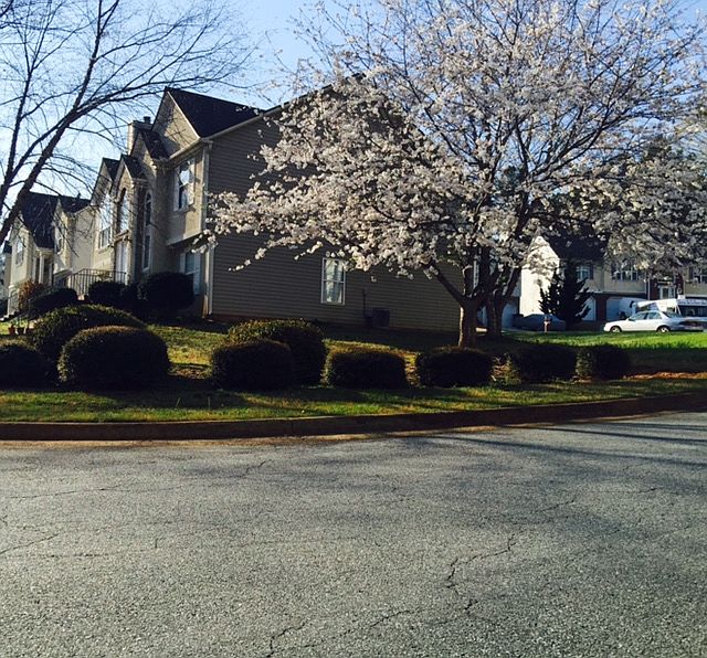 2nd image of 1002 Crest Ridge Pl SW