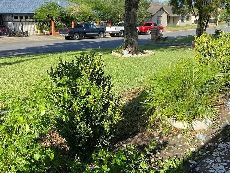 1910 Wyoming Dr — Photo 19