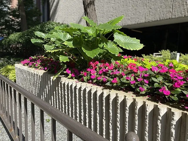 200 E Delaware Pl #4DE — Photo 42