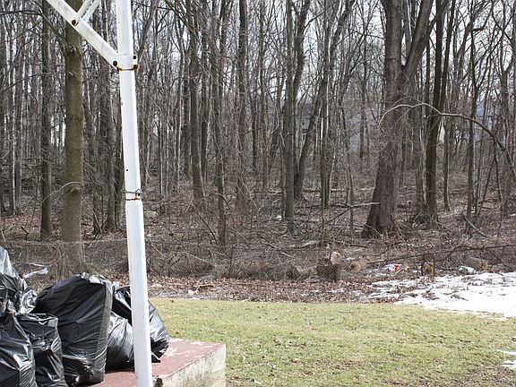 Backyard to forest - lots of privacy