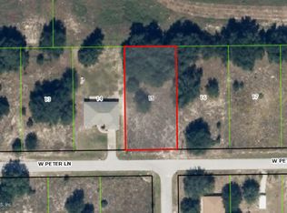 6129 W Peter Ln, Dunnellon, FL 34433
