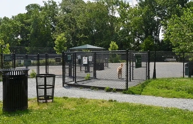 Community dogpark