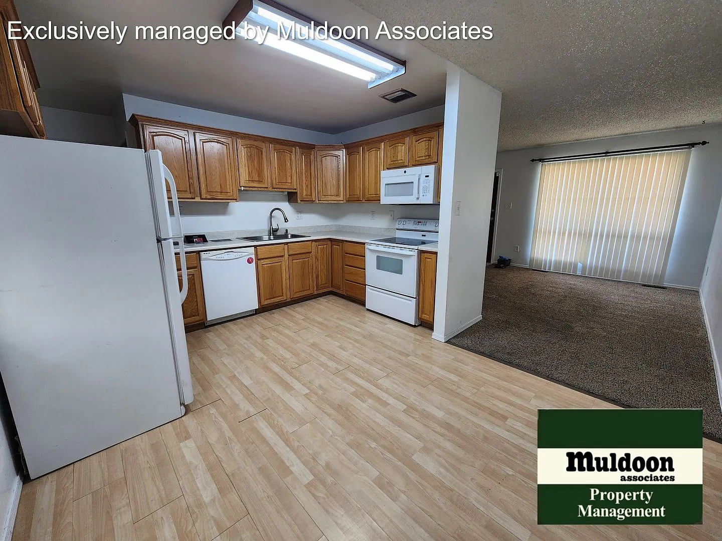 Great Belmont 3 bed 2 bath 2 car garage Rancher. Available now! — Photo 4