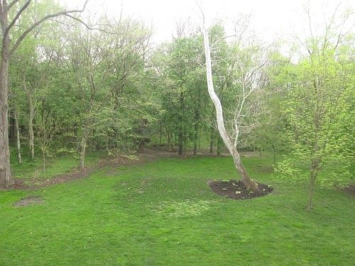 3rd image of 6441 Deerwood Ct