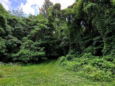 1580 Restful Rd, Newport, TN, 37821