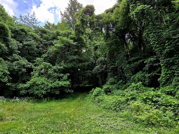 1580 Restful Rd, Newport, TN 37821