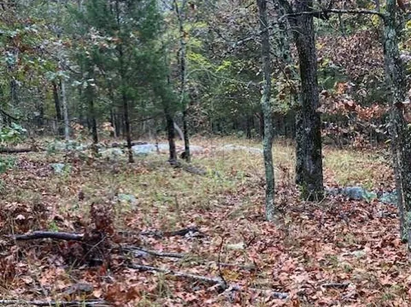 96 Madison St #410, Fredericktown, MO 63645