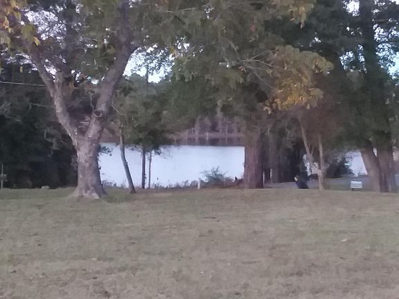 3rd image of 95 Chinaberry Ln